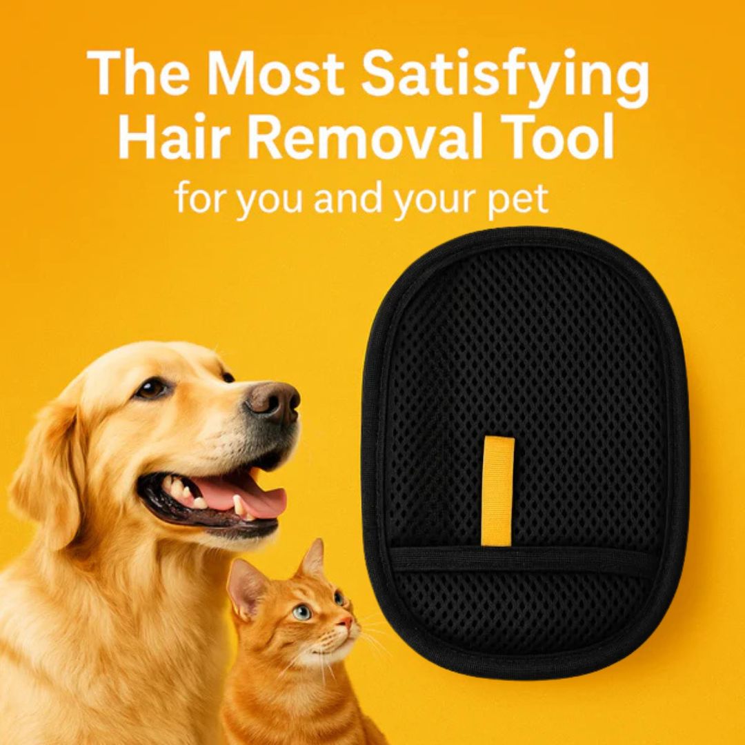 Pawsh™ Pet Hair Remover Glove Pawsh Style