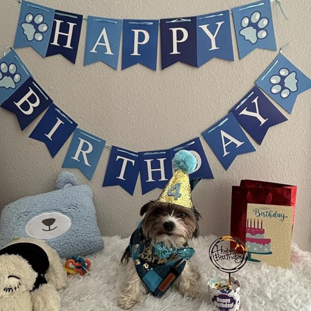 Dog Birthday Boy Bandana, Puppy 1St Birthday Party Supplies, Pet Party Hat Scarf Bowtie Banner Set for Small Medium Dogs (Small&Medium) My Store