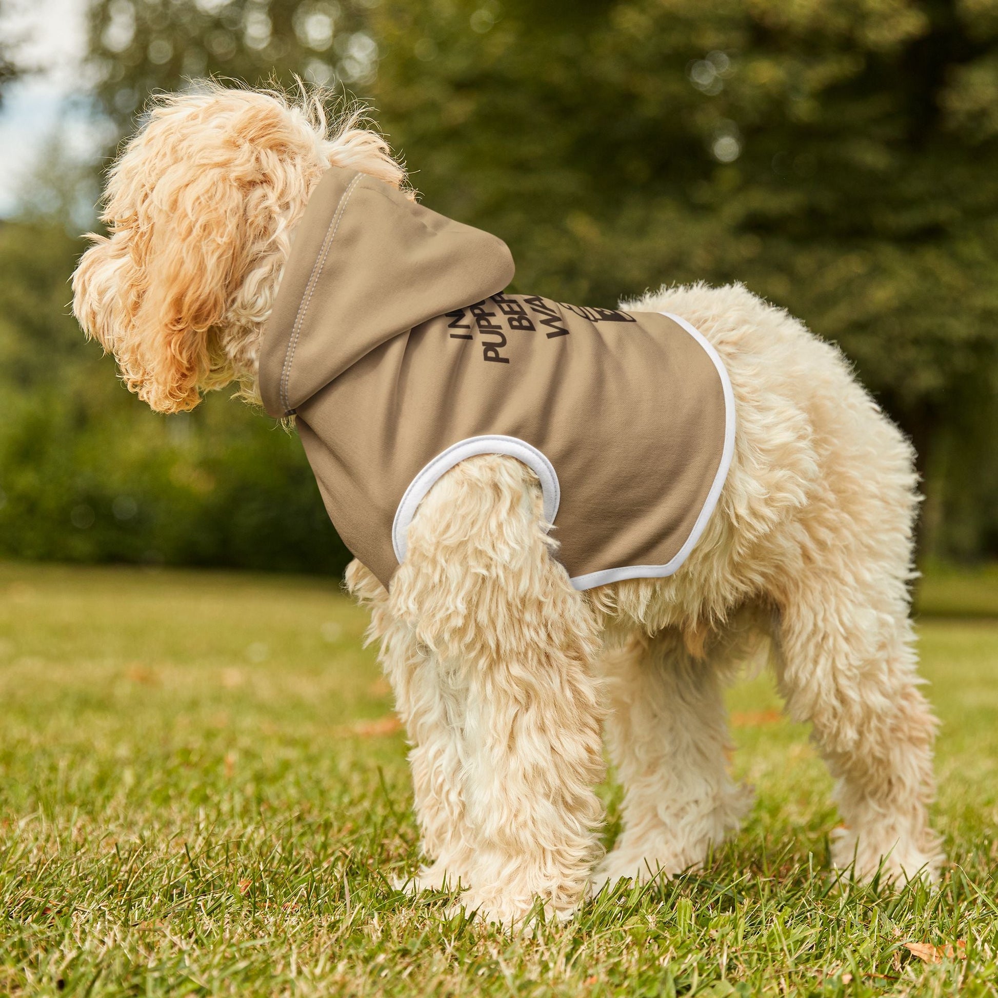 Cute Pet Hoodie - "I Need My Puppuchino Before Walkies" - Cozy Dog Apparel for Dog Lovers, Funny Pet Clothes, Gift for Dog Owners Printify
