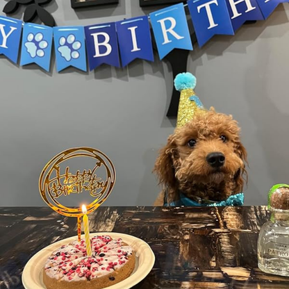 Dog Birthday Boy Bandana, Puppy 1St Birthday Party Supplies, Pet Party Hat Scarf Bowtie Banner Set for Small Medium Dogs (Small&Medium) My Store