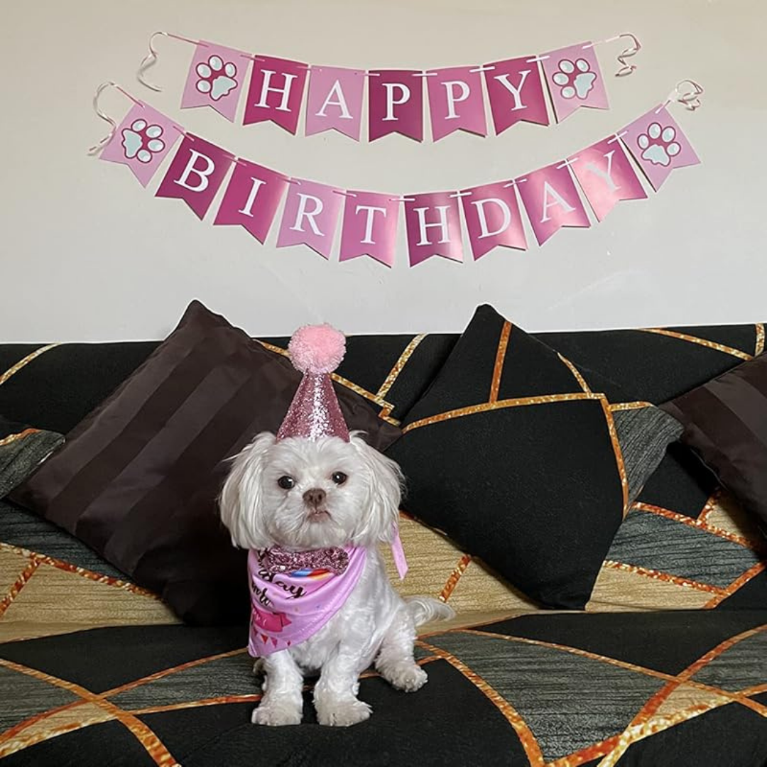Dog Birthday Party Supplies - Bandana Hat Banner Set with Boy & Girl Cute Bow Tie Scarf - Dog Birthday Decorations (Pink, Girl) My Store