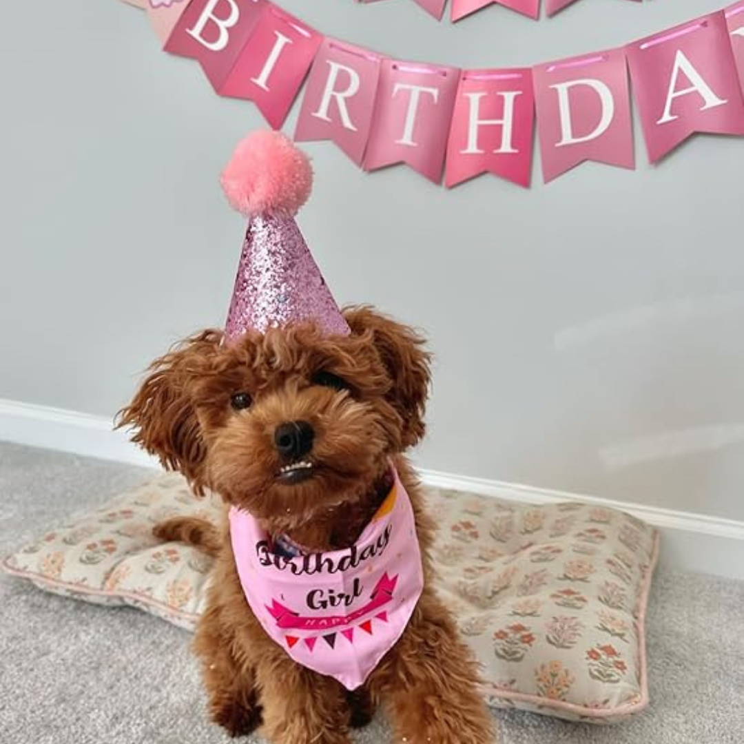 Dog Birthday Party Supplies - Bandana Hat Banner Set with Boy & Girl Cute Bow Tie Scarf - Dog Birthday Decorations (Pink, Girl) My Store