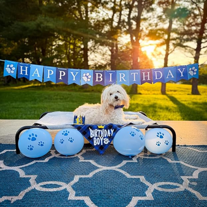 Dog Birthday Party Set – Hat, Bandana, Bow Tie, Balloons & Banner My Store