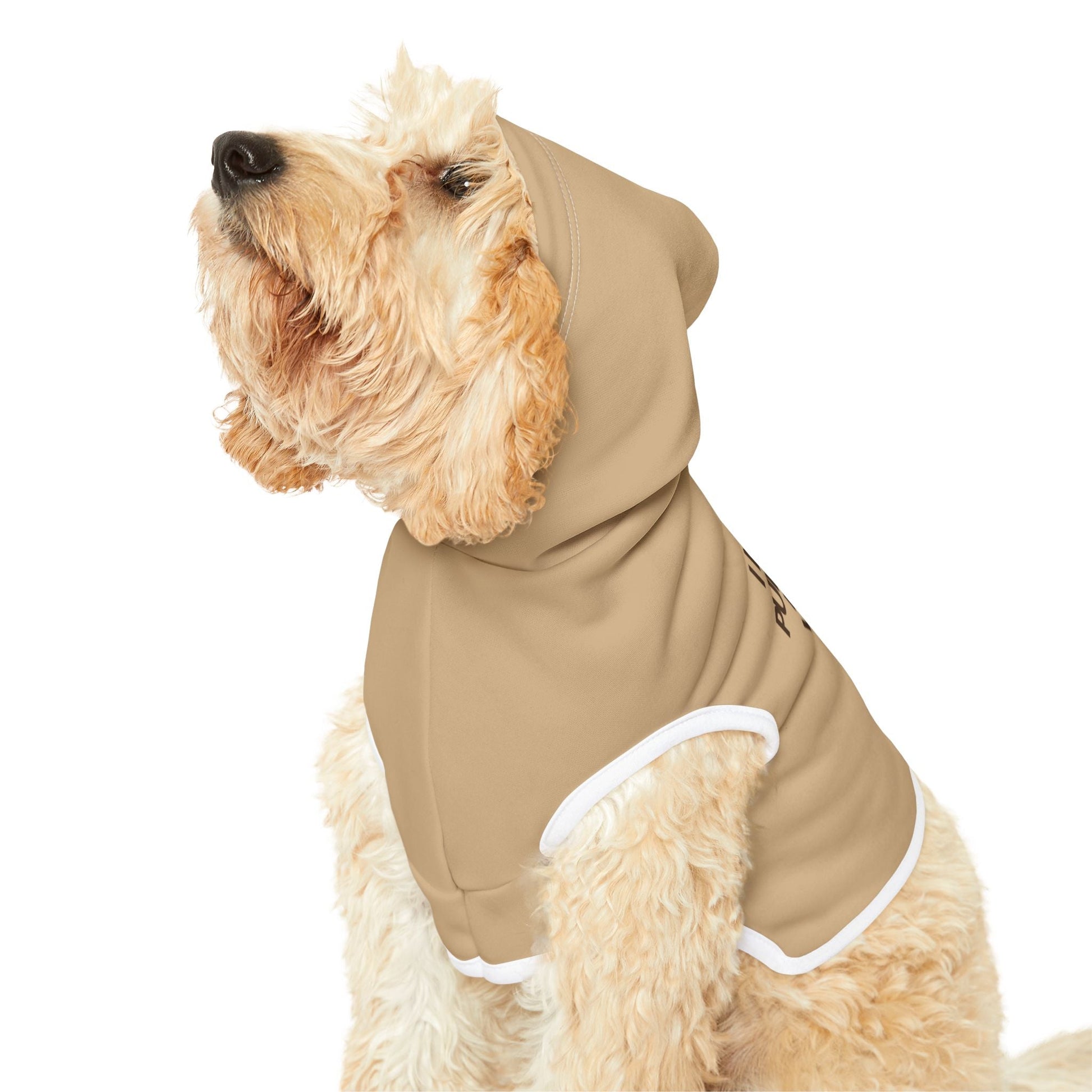 Cute Pet Hoodie - "I Need My Puppuchino Before Walkies" - Cozy Dog Apparel for Dog Lovers, Funny Pet Clothes, Gift for Dog Owners Printify