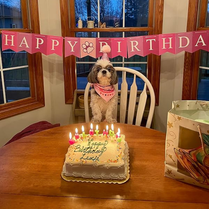 Dog Birthday Party Supplies - Bandana Hat Banner Set with Boy & Girl Cute Bow Tie Scarf - Dog Birthday Decorations (Pink, Girl) My Store