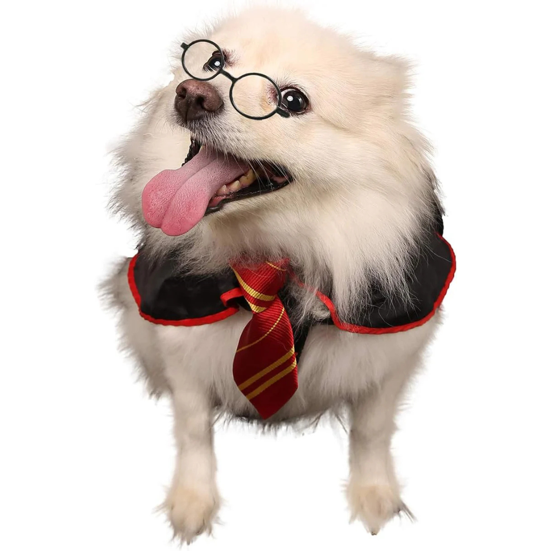 Halloween Wizard Costume for Dogs & Cats – Soft Hoodie with Glasses My Store