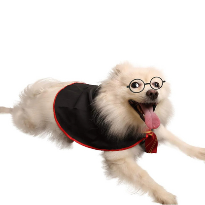 Halloween Wizard Costume for Dogs & Cats – Soft Hoodie with Glasses My Store