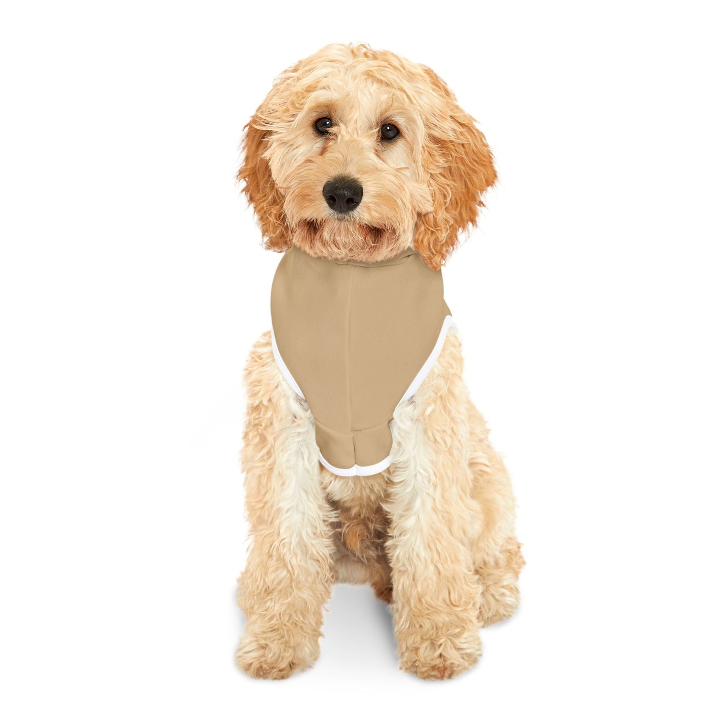 Cute Pet Hoodie - "I Need My Puppuchino Before Walkies" - Cozy Dog Apparel for Dog Lovers, Funny Pet Clothes, Gift for Dog Owners Printify