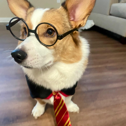 Halloween Wizard Costume for Dogs & Cats – Soft Hoodie with Glasses My Store