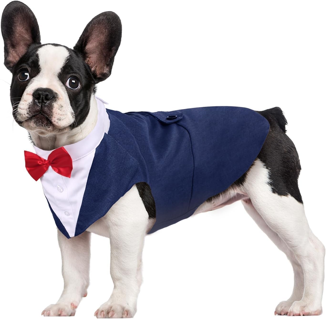 Dog Tuxedo for Large Doggie, Detachable Dog Formal Wedding Suit with Tuxedo Vest & Bow Ties Collar & Bandana Scarf Set, Wedding Attire Shirt for Birthday Party Costume My Store