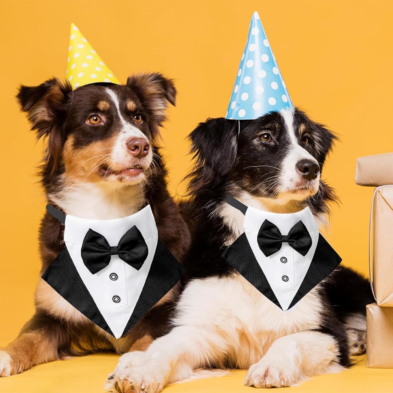 Formal Dog Tuxedo Bandana Collar with Bow Tie – Adjustable Fit for Dogs My Store