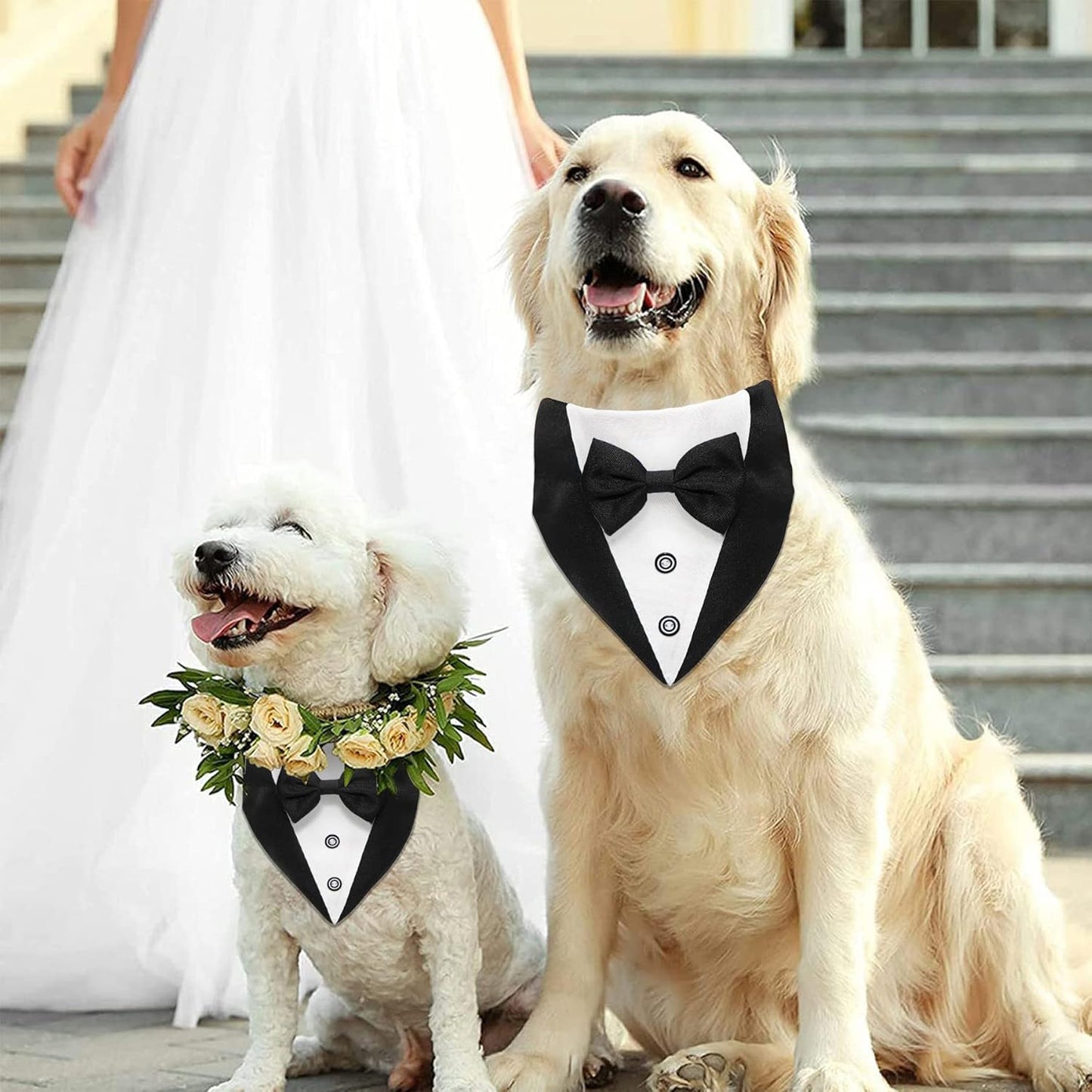 Formal Dog Tuxedo Bandana Collar with Bow Tie – Adjustable Fit for Dogs My Store