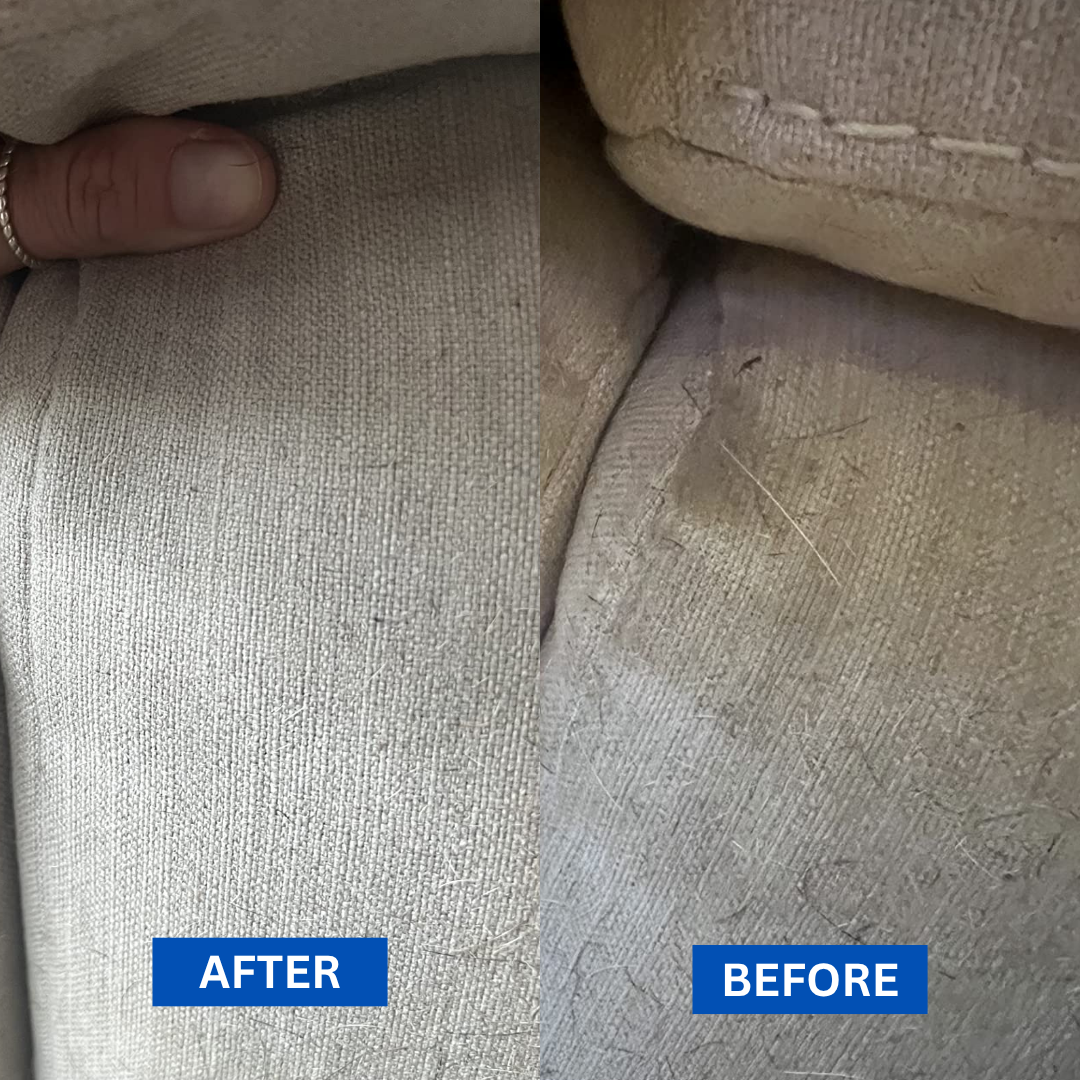 Pawsh Style Odour & Stain Remover