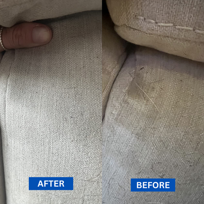 Pawsh Style Odour & Stain Remover
