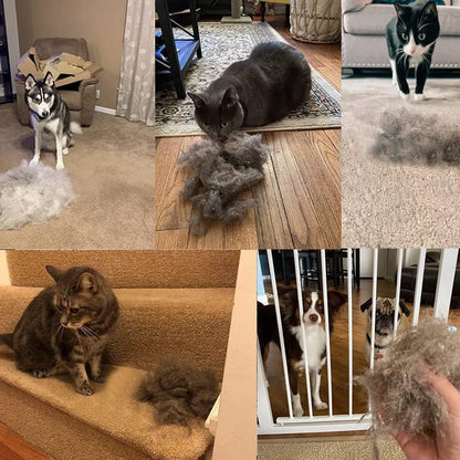 Pet Hair Remover Scraper Pro™ Pawsh Style