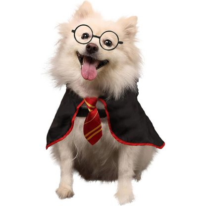 Halloween Wizard Costume for Dogs & Cats – Soft Hoodie with Glasses My Store