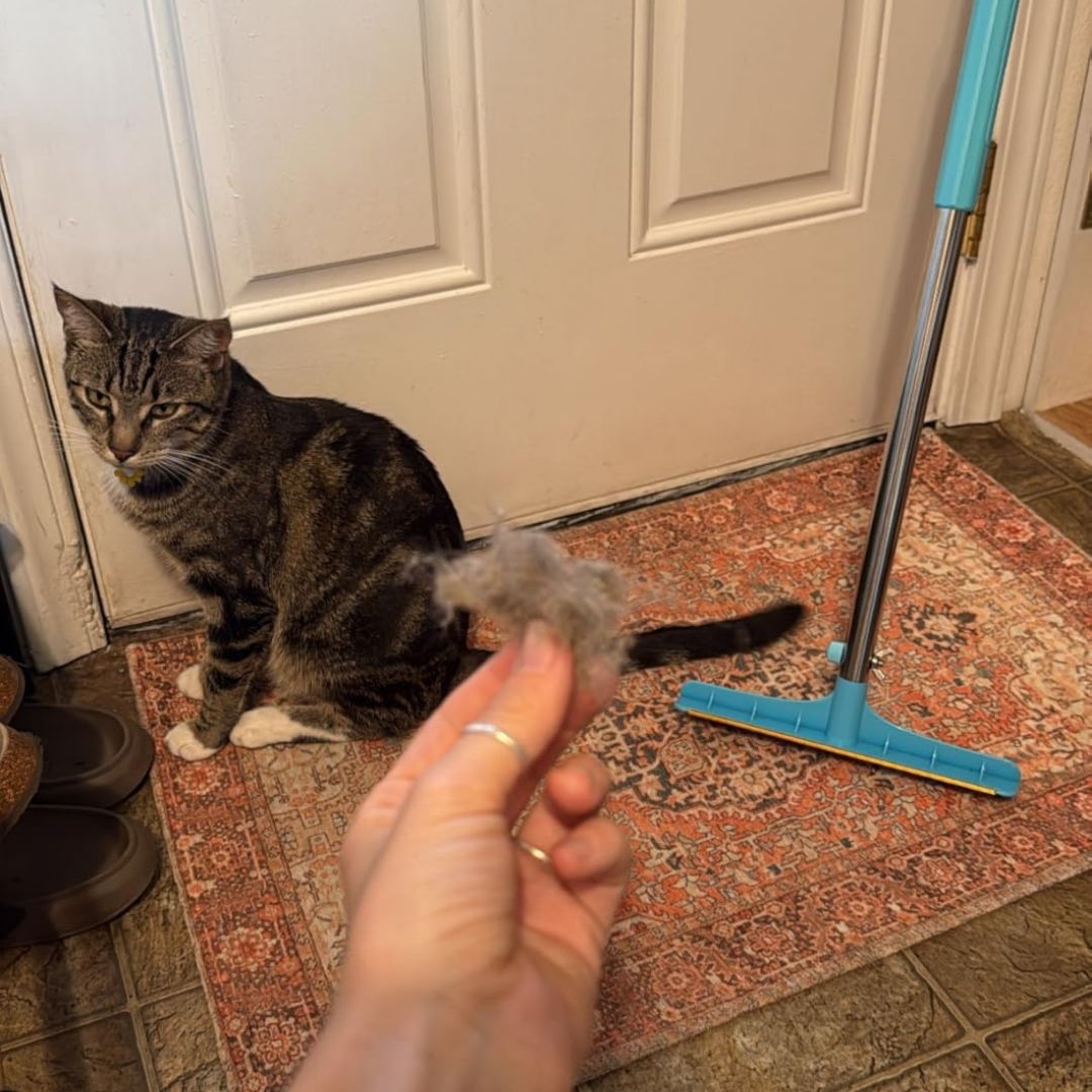 Pawsh Pet Hair Remover Rake