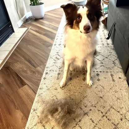 Pawsh Pet Hair Remover Rake