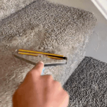 Pet Hair Remover Scraper Pro Pawsh Style