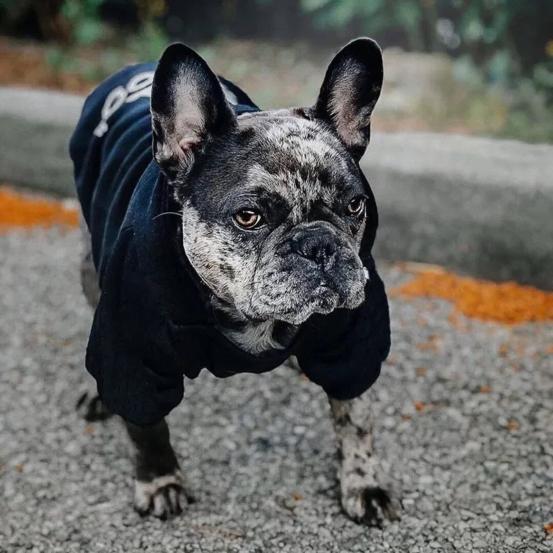 Pet Dog Hoodies Autumn and Winter Season Large Dog Clothes Dog Face Text Pattern French Bulldog Labrador Jacket Clothing My Store