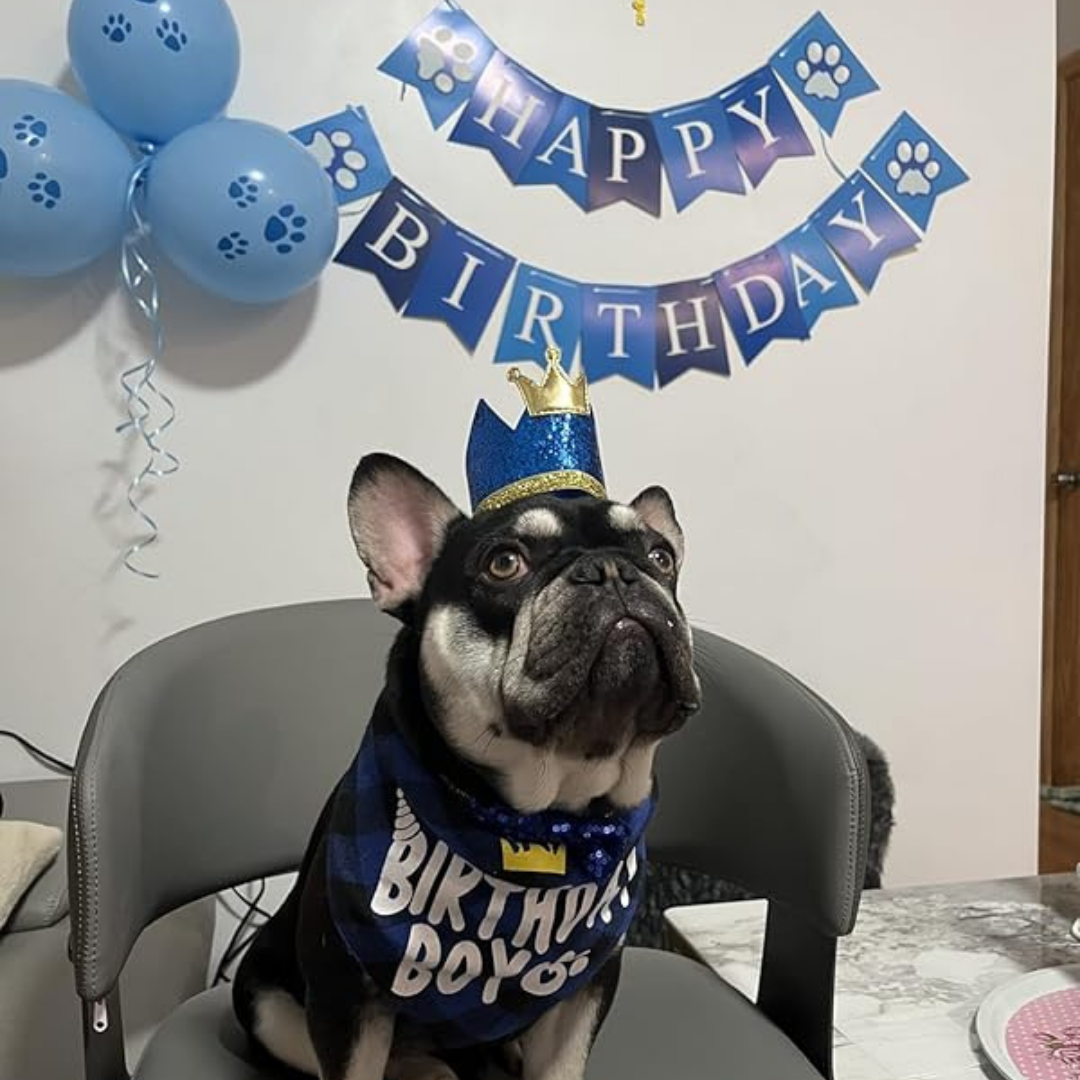 Dog Birthday Party Set – Hat, Bandana, Bow Tie, Balloons & Banner My Store