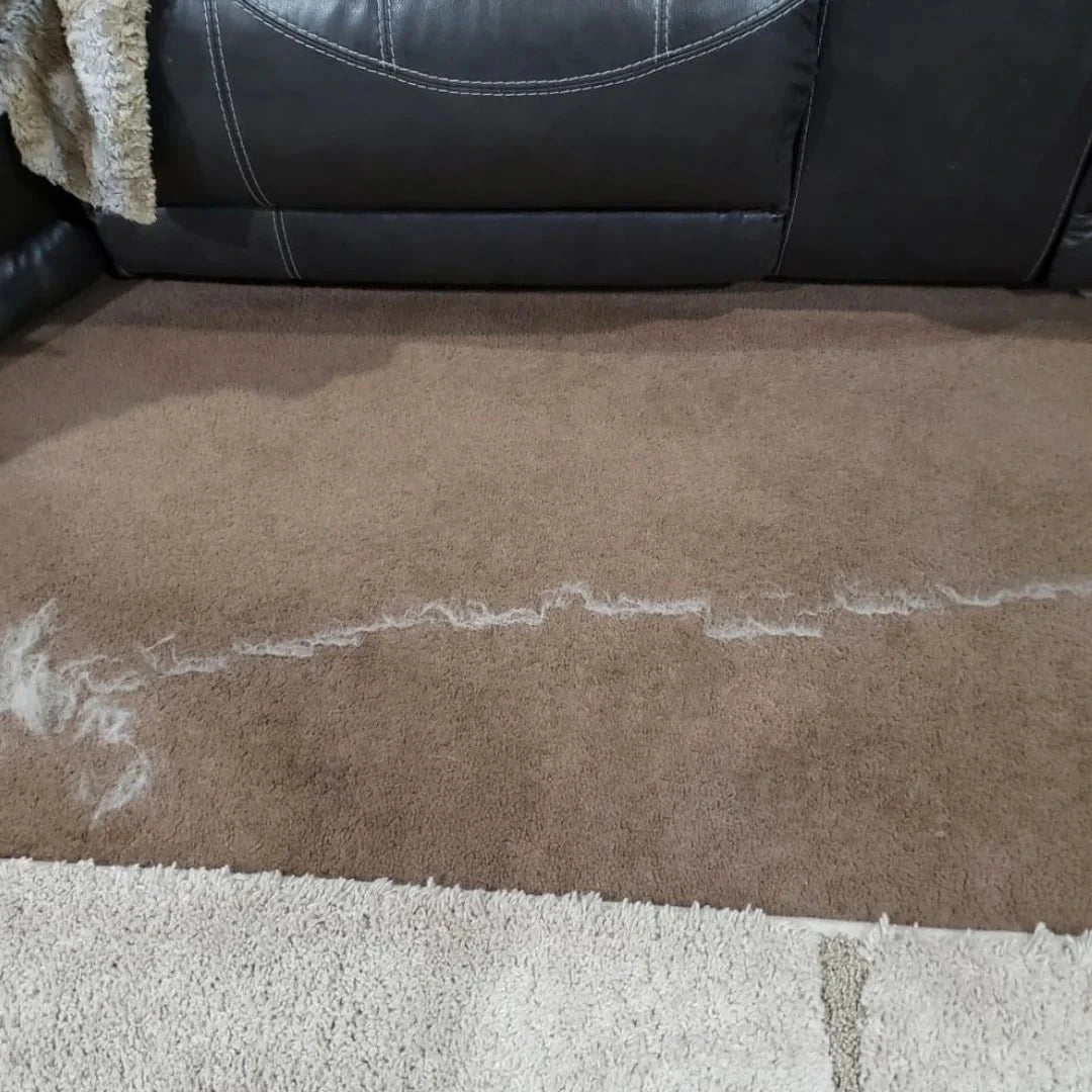 Pet Hair Remover Scraper Xtra Pawsh Style