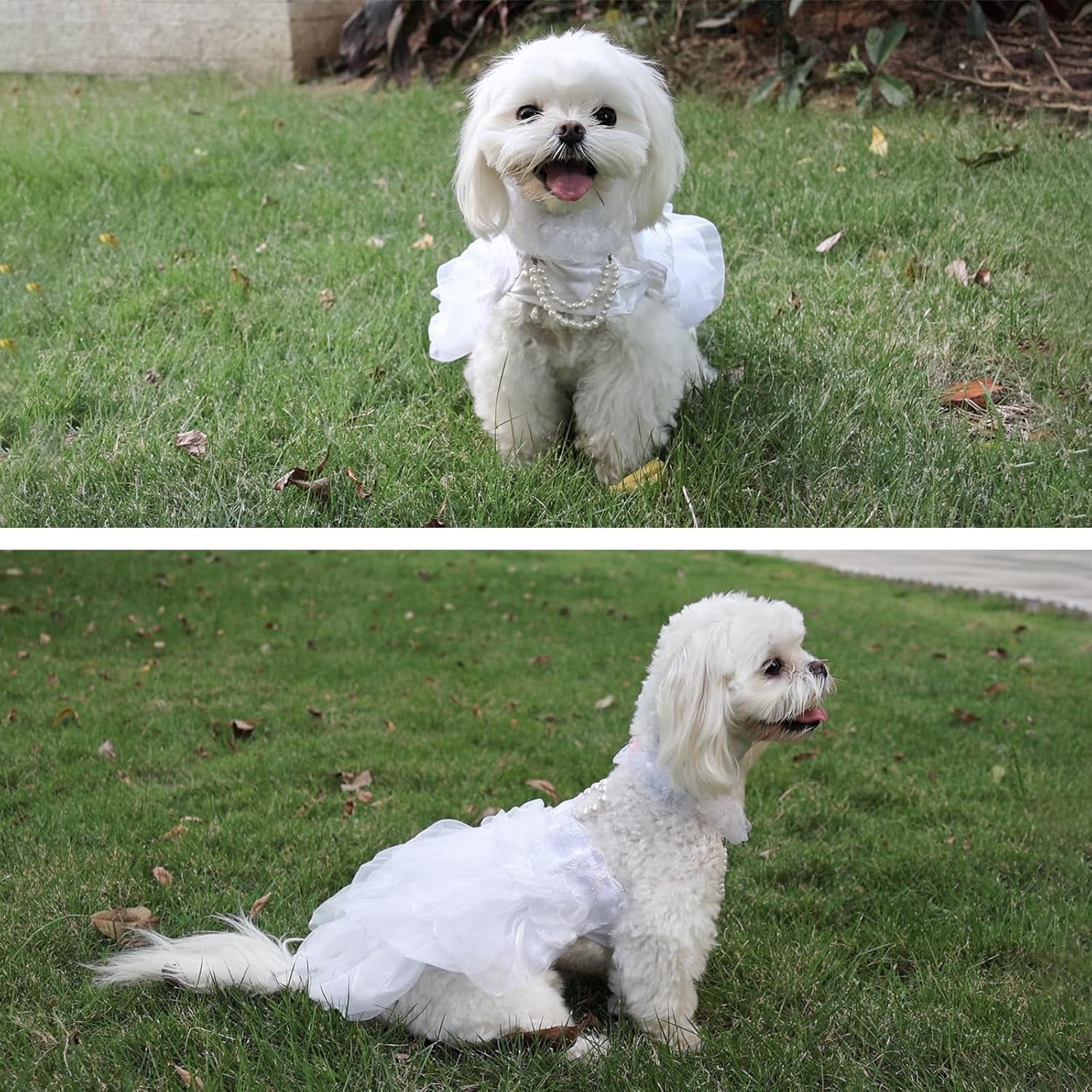 Dog Wedding Dress Bride Outfit with Pearl Necklace and Rose Pet Princess Dress Apparel for Puppy Dog Cat (Small)