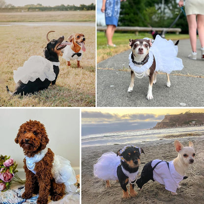 Dog Wedding Dress Bride Outfit with Pearl Necklace and Rose Pet Princess Dress Apparel for Puppy Dog Cat (Small)