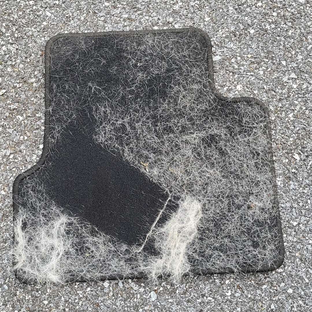 Plastic Long Handled Broom Mop Brush Remover Dog Hair Remover Adhesive Brush Pet Broom Cat Hair Remover Dog Hair Scraper Pawsh Style