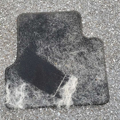 Plastic Long Handled Broom Mop Brush Remover Dog Hair Remover Adhesive Brush Pet Broom Cat Hair Remover Dog Hair Scraper Pawsh Style